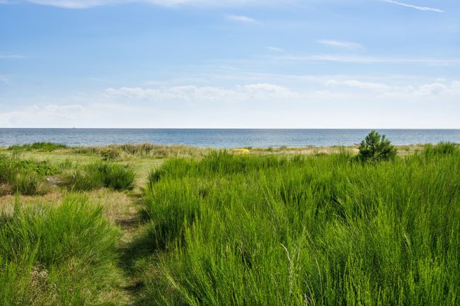 Sandstensvej 5, Yderby Lyng, 4583 Sjællands Odde