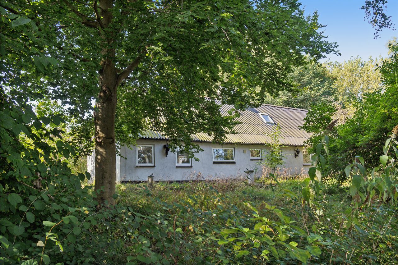 image 02